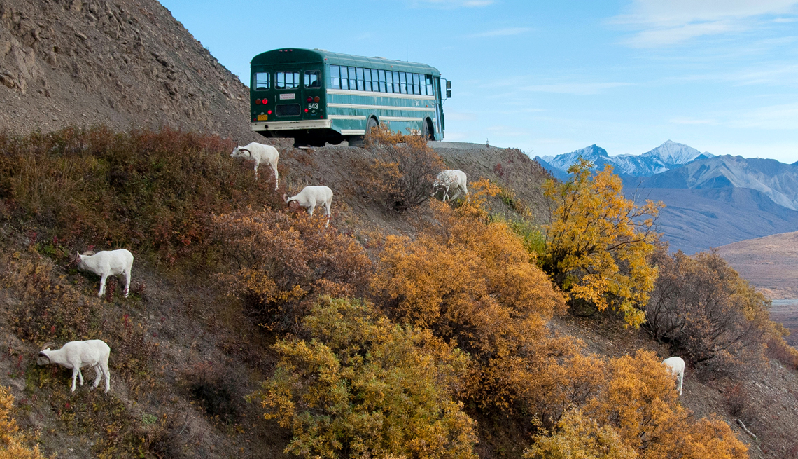 5 National Parks You Can Visit by Bus